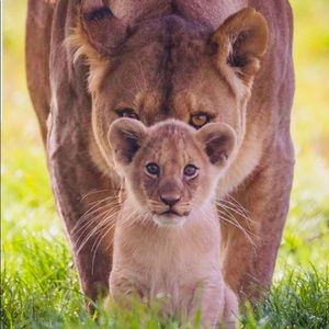 Meet your Posher, Dominique